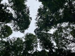-上海怡沁园度假酒店