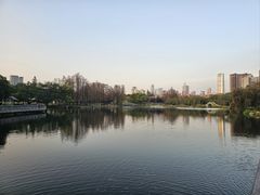 -四海公园(南山区)
