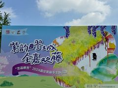 -嘉定紫藤园