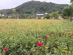 -南北湖风景区