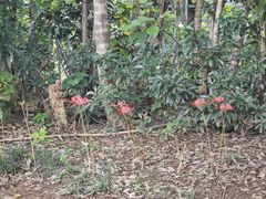 -京和风食堂·定食寿喜锅(保利樾广场店)