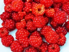 -北京龙庆四季香农家饭庄·灶台鱼·碳烤虹鳟鱼(龙庆峡店)