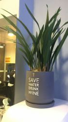 -日寸形象护肤养生