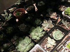 -密讯馆密室逃脱&换装侦探剧(环球港旗舰店)