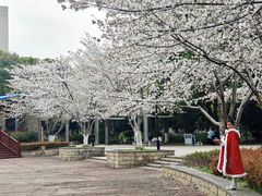 -玉山公园