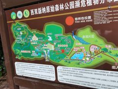 -西双版纳原始森林公园