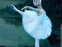 -舞研舞蹈培训(魏公村校区)