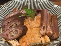 -MR鹅外