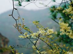 -天台山琼台仙谷景区