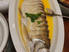-鲁宴·鲁煨黄河生态大鲤鱼(月坛店)