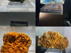 -中国地质大学逸夫博物馆