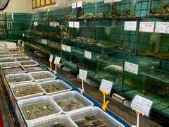 水产区-海岛渔村大酒店(云霄路店)