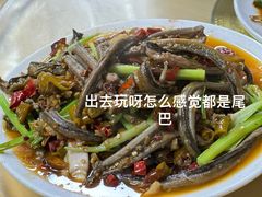 -春涛餐馆(下坝店)