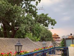 -Sirena海妖日咖夜酒