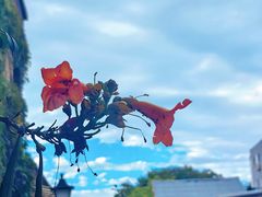 -三里河公园