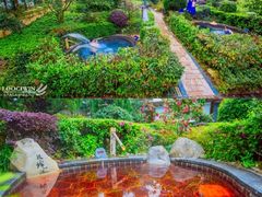 -明月山天沐温泉度假村