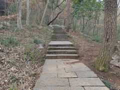 -九曜山