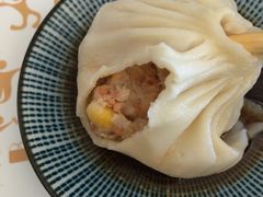 -老班长手工灌汤包(望京华彩店)