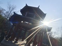 -西安市长乐公园