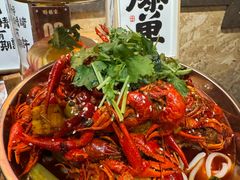 -并州大牌档之醉轻尘