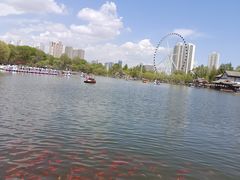 -西宁市人民公园(城西区)