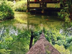 -成都杜甫草堂博物馆