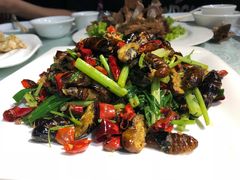 -好妈王饺子(滂江街店)