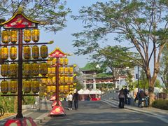-王借岗森林公园
