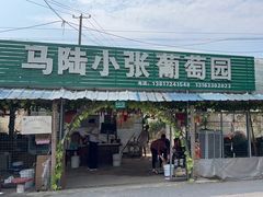 -马陆小张葡萄园农家乐