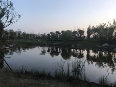 -春花秋色城市公园