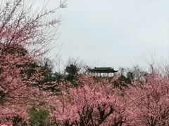 -桂林七星景区