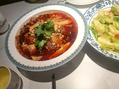 -陈麻婆豆腐总店