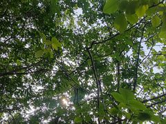 -元大都城垣遗址公园