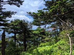 -秦岭风景区