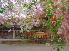 -深圳国际园林花卉博览园