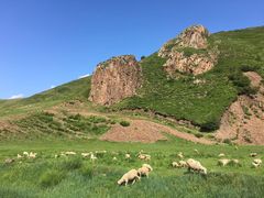 -塞罕坝国家级自然保护区