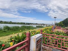 -绿堤公园