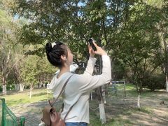 -长白岛森林公园