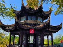 -八大山人梅湖景区
