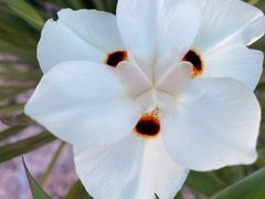 -上海植物园-4号门售票处