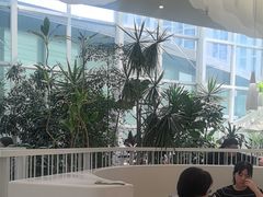 -大树餐厅(红旗街万达店)