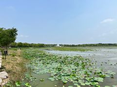 -天津东丽湖风景区