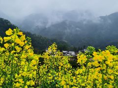 -呈坎景区