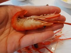 -花城苑广府菜(侨鑫店)