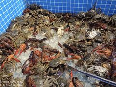 -乔哥铭洋海鲜自助(皇城恒隆广场店)