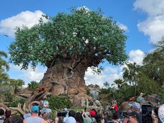 -奥兰多迪士尼动物王国乐园