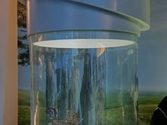-辽宁古生物博物馆