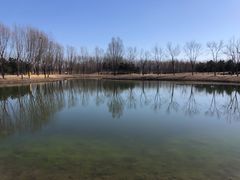-东郊湿地公园