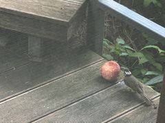 -高老庄·老溧阳·私房菜(南山竹海店)
