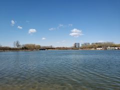 -大兴滨河森林公园